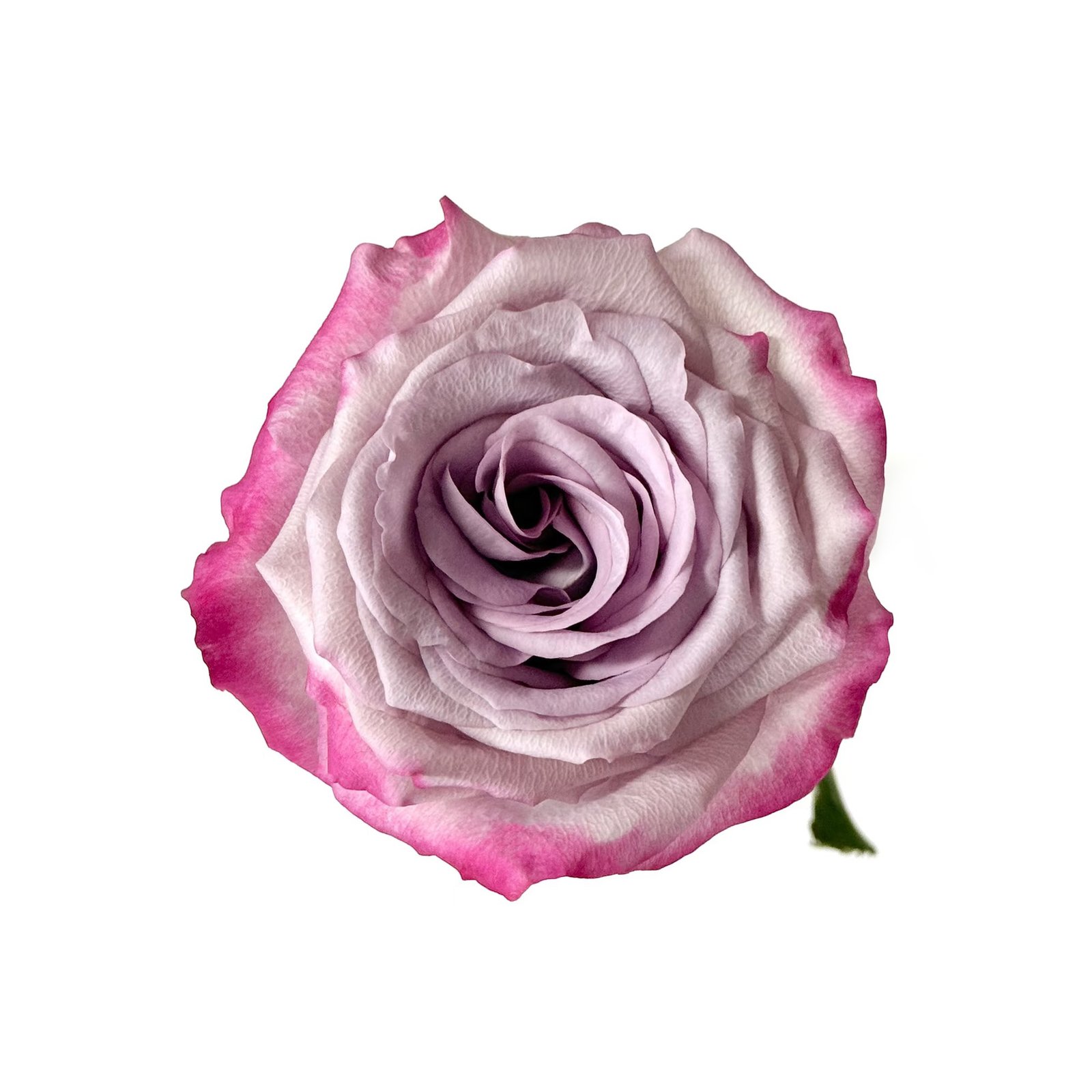 35 Aura Aura - Image 1