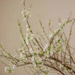 Snow Willow Flower Curved
